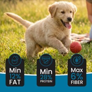 Dr.Pets Super Dawg Puppy Dry Dog Food key benefits infographic 28 percent protein growth