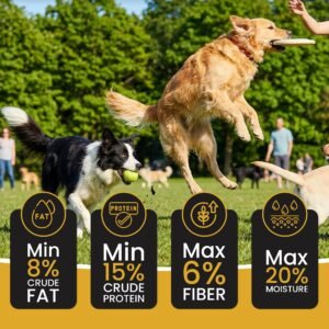Dr.Pets Treetos Banana Oats Soft Chew Dog Treats key benefits infographic probiotics collagen