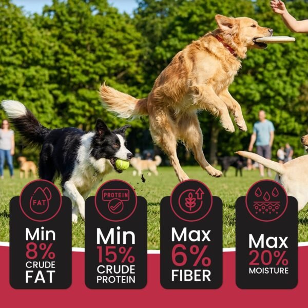 Dr.Pets Treetos Chicken Pomegranate Soft Chew Dog Treats key benefits infographic antioxidants