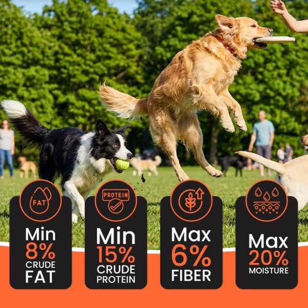 Dr.Pets Treetos Mix Flavour Soft Chew Dog Treats key benefits infographic variety pack