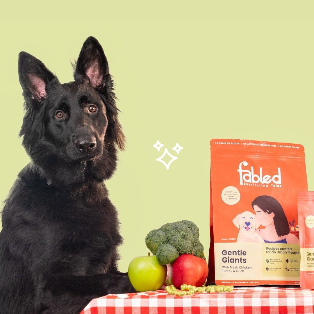 Fabled Gentle Giants glucosamine chondroitin bone joint support