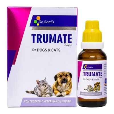 Dr. Goel's STRESSZA for Pets For Stress and Anxiety — homeopathic veterinary medicine from Dr. Goel's