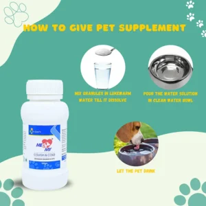 Dr. Goel's Me and My DIGESTION For Indigestion in Pets - Image 3