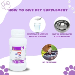 Dr. Goel's Me and My VITALITY Helpful in Depression, Nervousness in pets - Image 3