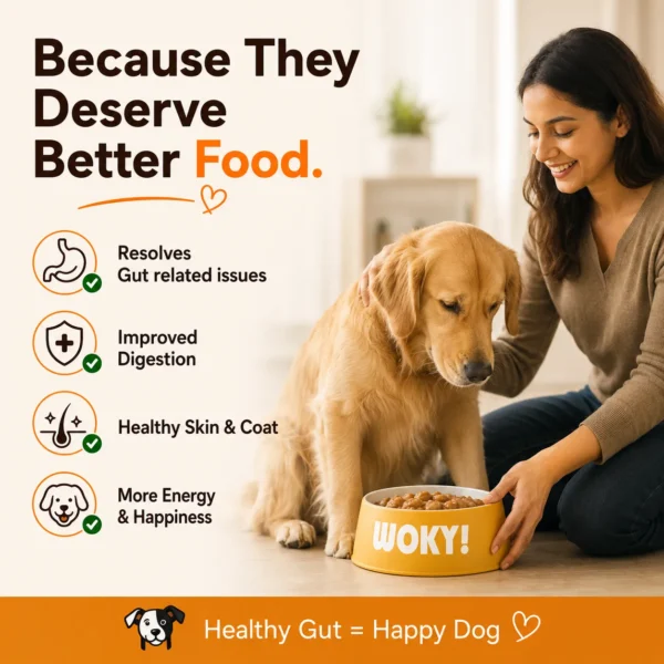 WOKY! Gut & Digestion Focused Wet Gravy Dog Food Topper – Pack of 6 (6 × 100g)