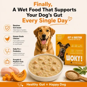WOKY! Gut & Digestion Focused Wet Gravy Dog Food Topper – Pack of 6 (6 × 100g)
