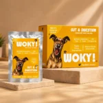 WOKY! Gut & Digestion Focused Wet Gravy Dog Food Topper – Pack of 6 (6 × 100g)