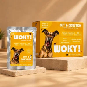 WOKY! Gut & Digestion Focused Wet Gravy Dog Food Topper – Pack of 6 (6 × 100g)